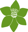 Small decorative flower illustration